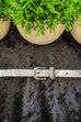 Marvina Diamante Slim Buckle Belt