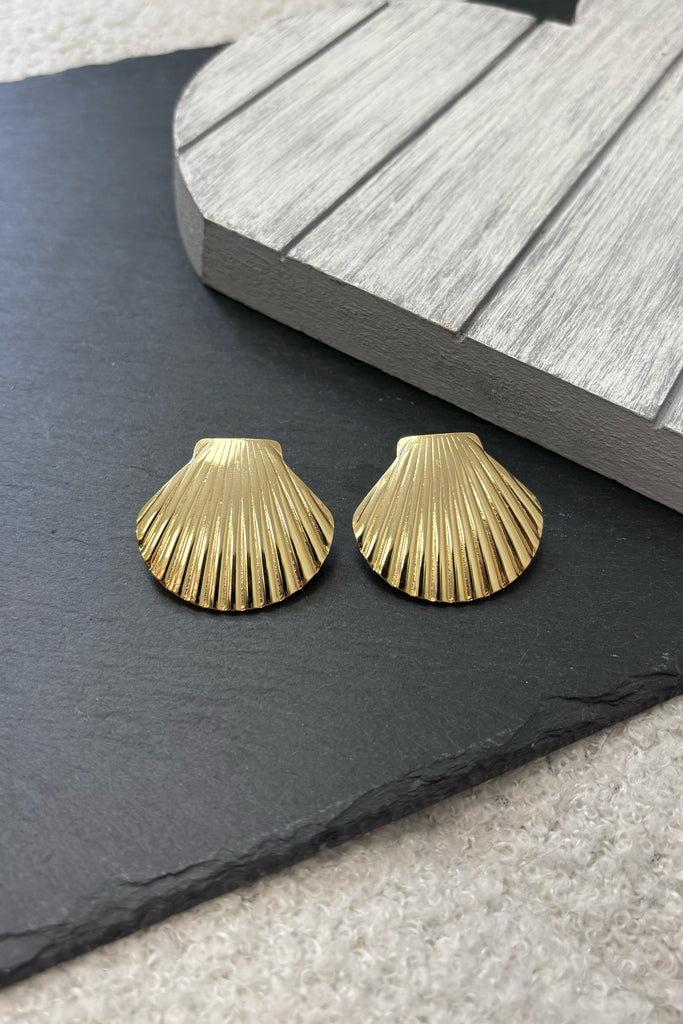 Glenn Textured Shell Earrings