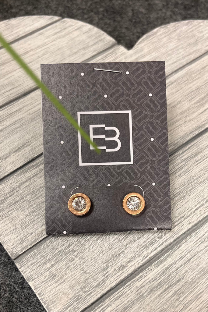 Nicki Solid Circle Diamanté Earrings