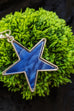 Morgana Star Necklace