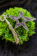 Minerva Star & Tassle Pendant Necklace