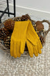 Gianna Suedette Gloves