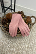 Gianna Suedette Gloves