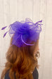 Alina Feather Detail Hair Fascinator