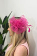 Dakota Rose Detail Hair Fascinator