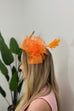 Dakota Rose Detail Hair Fascinator