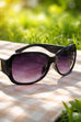 Franchesca Retro Sunglasses
